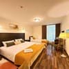 Готель Alex Hotel. Стандарт тримісний  3