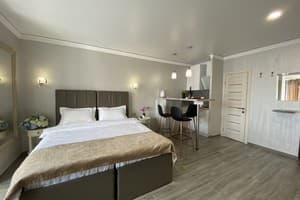 Квартира Apart Reserve. Апартаменты двухместный Apart Reserve Central2 8