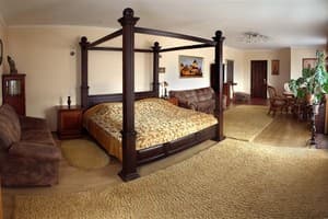 Отель Айвенго. Люкс двухместный VIP +2 1