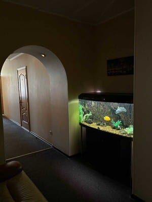 Белый рояль 5