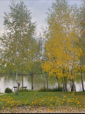 Berezino 4