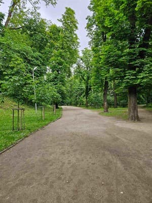 Біля Замку 19