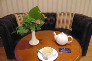 Быстрица Люкс 12