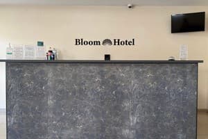 Готель Bloom Hotel