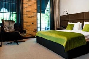 Отель Brik Hotel. Люкс двухместный  1