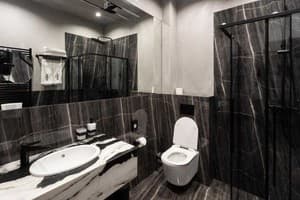 Отель Brik Hotel. Полулюкс двухместный с терассой 8