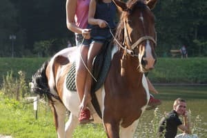 Бухта Викингов 14