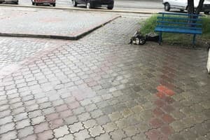 Чистая и уютная 16