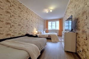 Квартира Чистая и уютная квартира. Alex Apartments. Апартаменты двухместный  23