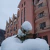 Фантазия 18-19/22