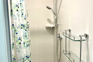 Файна Птиця 10