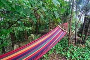 Гранд Алексик 10