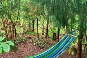 Гранд Алексик 12