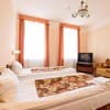 Отель Ирена. Полулюкс двухместный студио (Twin Bed) 2