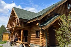 Кот Баюн и Кривенькая уточка 3