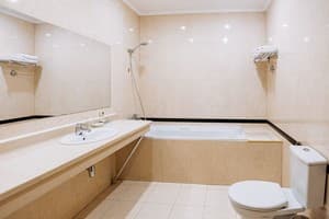 Готель Lavina Park Hotel. Класік   2