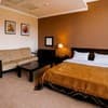 Готель Lavina Park Hotel. Класік   6