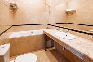 Готель Lavina Park Hotel. Класік   9
