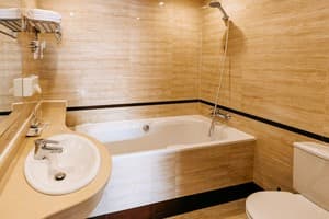 Готель Lavina Park Hotel. Комфорт  з терасою 5