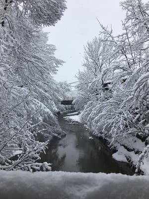Лилея 3