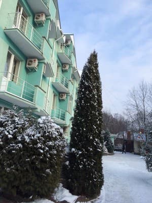 Лилея 4