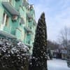 Лилея 4-5/12