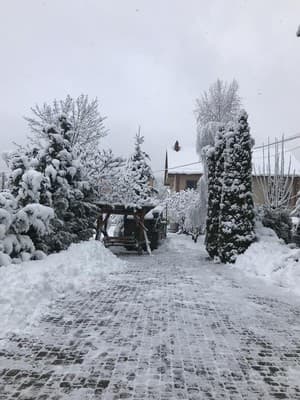 Лилея 6