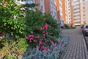 Квартира Lutsk Apartment ул.Арцеулова 22. Апартаменты двухместный +3 10