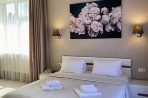 Отель MARISS hotel & business. Люкс двухместный для молодоженов (двухкомнатный) 17