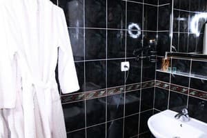 Мини-отель Mamba Hotel. №5 Двухкомнатный номер с джакузи и кинотеатром – в укрытии 25