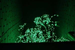 Мини-отель Mamba Hotel. №5 Двухкомнатный номер с джакузи и кинотеатром – в укрытии 23