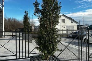 Mayster Home 5