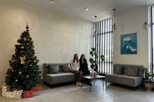 Mayster Home 7