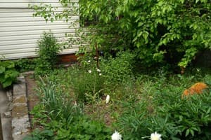 Моя зупиночка 17