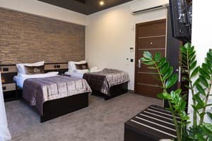 Спа-отель NEMO Hotel Resort & SPA. Стандарт двухместный вид на парк 1