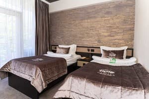Спа-отель NEMO Hotel Resort & SPA. Стандарт двухместный вид на парк 2