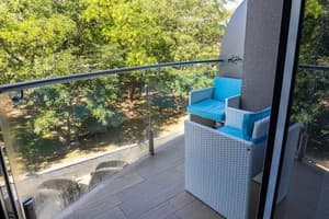 Спа-отель NEMO Hotel Resort & SPA. Стандарт двухместный вид на парк 4