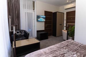 Спа-отель NEMO Hotel Resort & SPA. Стандарт одноместный вид на парк 3