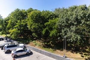 Спа-отель NEMO Hotel Resort & SPA. Стандарт одноместный вид на парк 4