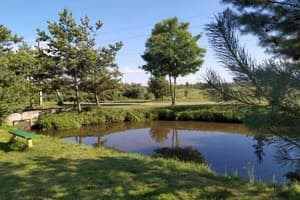 Наша оселя 11