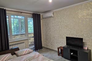 Квартира Однокомнатная в центре, проспект Центральный 184