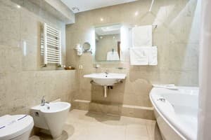 Отель Палладиум. Люкс двухместный Цезарь 9