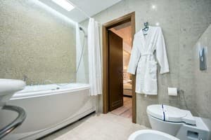 Отель Палладиум. Люкс двухместный Цезарь 8