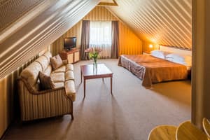 Отель Панская Гора. Люкс двухместный  5