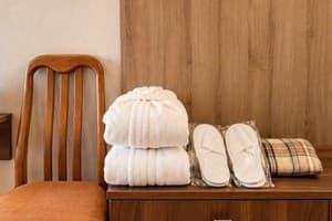 Готель Писанка Hotel & SPA. Стандарт двомісний з балконом  4