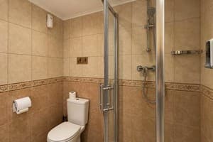 Готель Писанка Hotel & SPA. Стандарт двомісний з даховим вікном 6