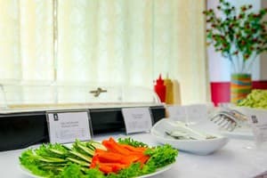 Raziotel Кривой Рог 9