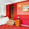Raziotel Кривой Рог 15-16/16