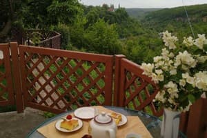 Гостиный двор Родинний Маєток Family Estate. Коттедж двухместный Семейный у каньона (К2) терраса, сауна, бассейн 14