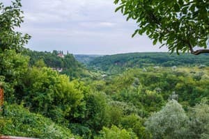 Гостиный двор Родинний Маєток Family Estate. Семейный 6-местный Дом с 3 спальнями 15